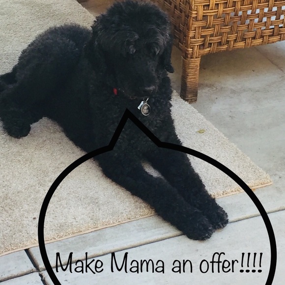 Meet your Posh Ambassador Mary! - Picture 4 of 6